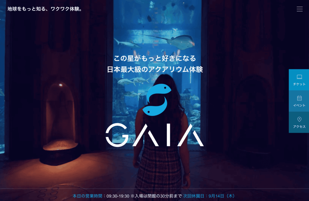 wordpressテーマ「GAIA」のデモサイト