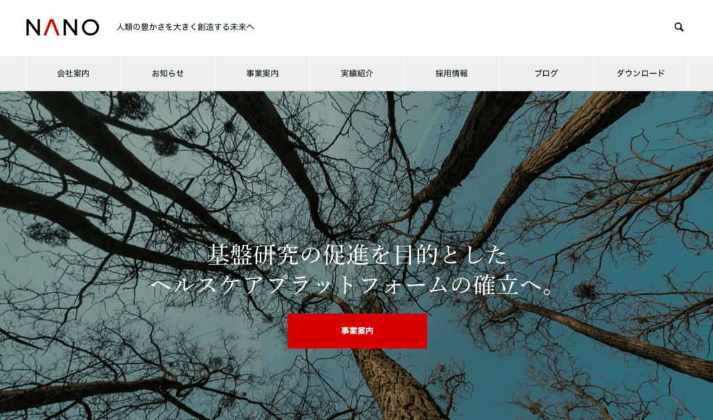 wordpressテーマNANOのデモサイト